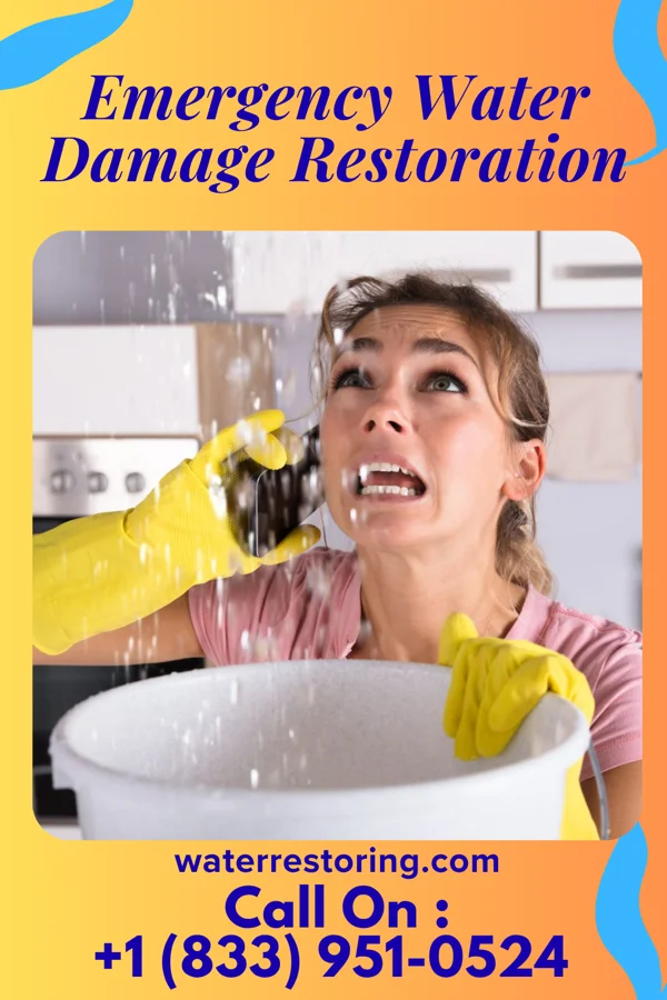 Emergency Water Damage Restoration in Luray, VA