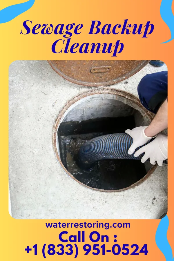Sewage Backup Cleanup in Luray, VA