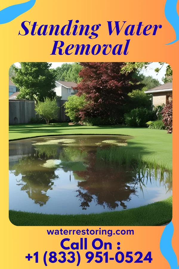 Standing Water Removal in Luray, VA